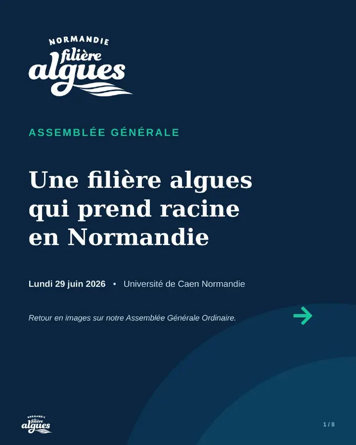 Couverture du retour en images de l’Assemblée générale NFA 2026