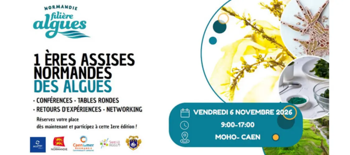 Bannière des 1res Assises normandes des algues, le 6 novembre 2026 au MoHo à Caen